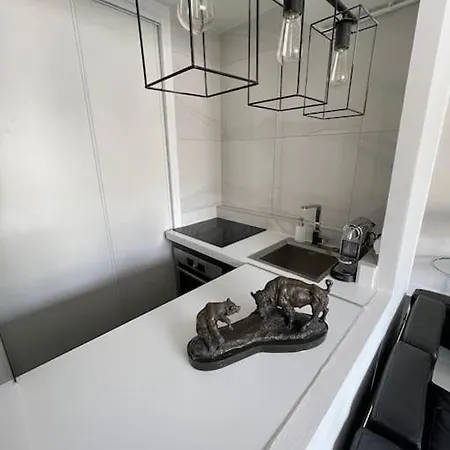 French Design Commerces Apartment Paris