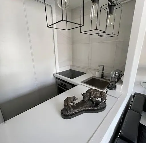 French Design Commerces דירה פריז